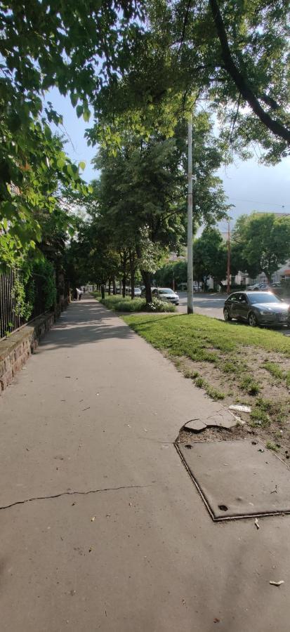 Dorothy Apartment Near Budapest City Park Εξωτερικό φωτογραφία